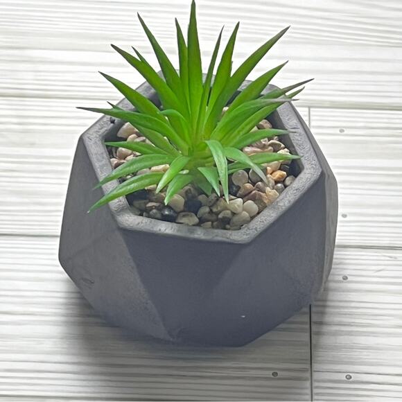 i Greenery Cement Pot Succulent  Decoration NWT - Picture 4 of 5